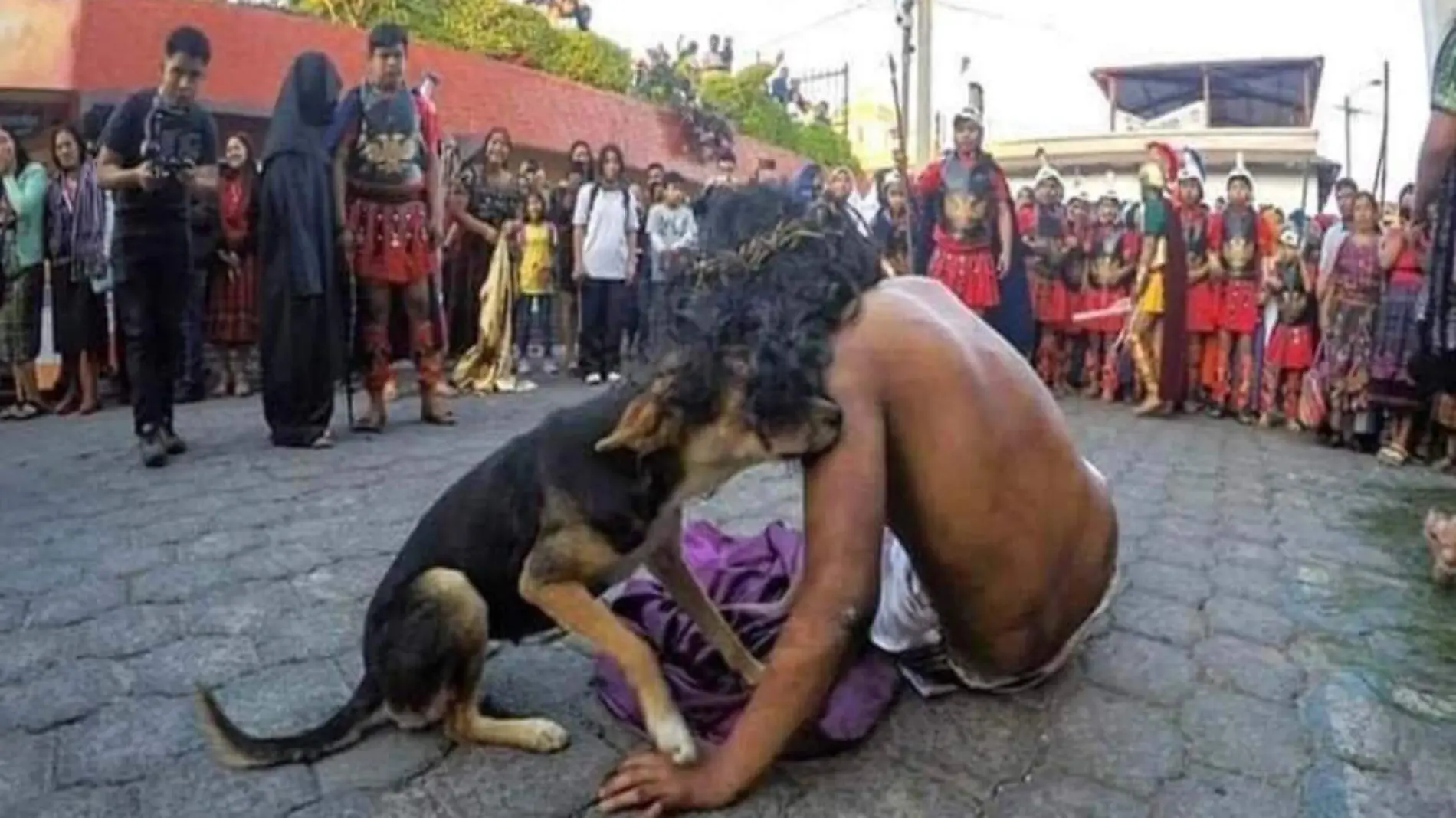 Perrito consuela a Jesús en Viacrucis